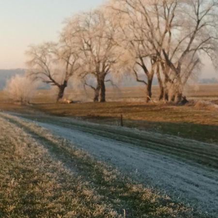 Ferienwohnung An Der Elbe เบลคเคอเดอ ภายนอก รูปภาพ