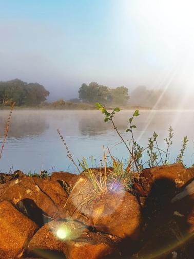 Ferienwohnung An Der Elbe เบลคเคอเดอ ภายนอก รูปภาพ